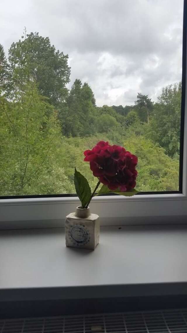 Гостевой дом Guest House Gero Vėjo Namai Клайпеда-17