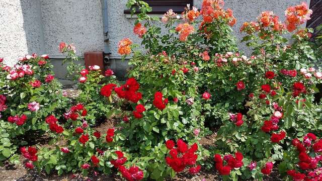 Гостевой дом Guest House Gero Vėjo Namai Клайпеда-46